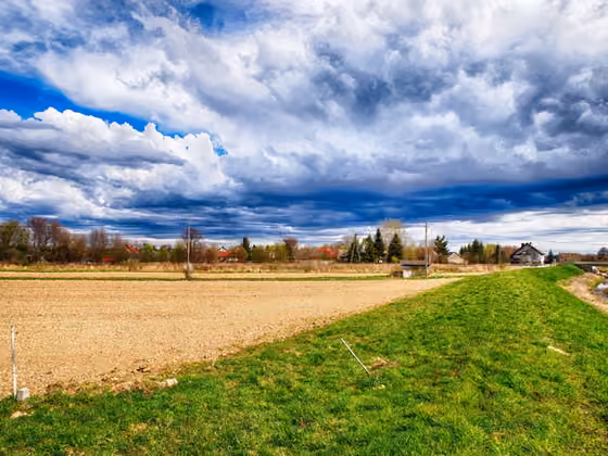Działka na sprzedaż – Krzeczów – zdjęcie 8