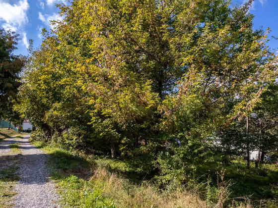 Działka na sprzedaż – Bochnia, ul. Podedworze – zdjęcie 6