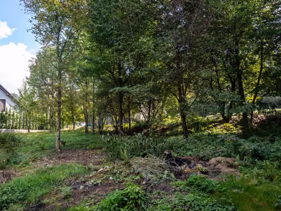 Działka na sprzedaż – Bochnia, ul. Podedworze – zdjęcie 9